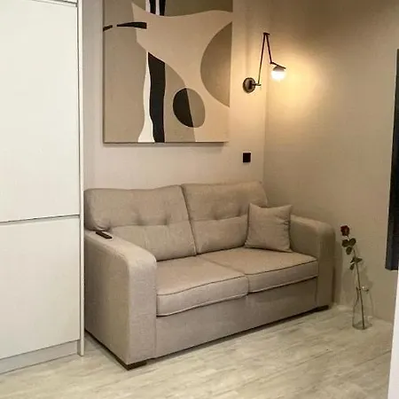 Appartement Comfortable 1-room Close To The Center