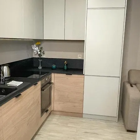 Comfortable 1-room Close To The Center