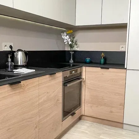 Comfortable 1-room Close To The Center 公寓